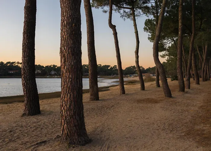Residence Hoteliere Les Acanthes