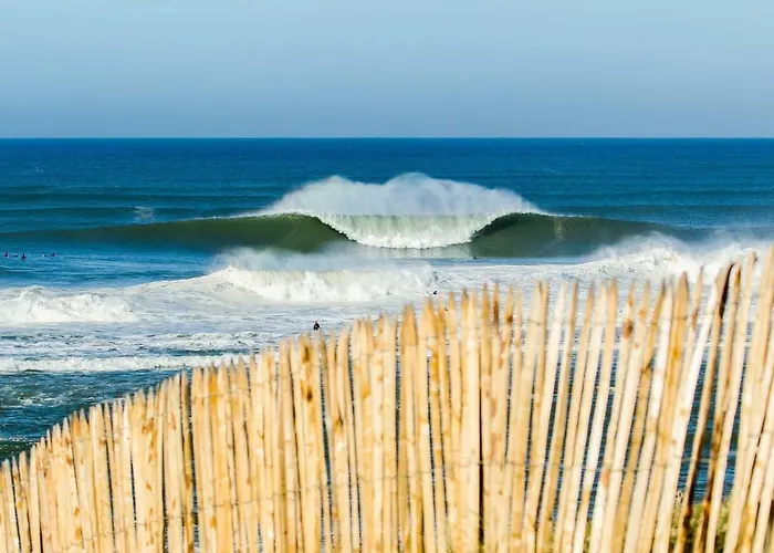 HOSSEGOR LA VIGIE entre lac et océan